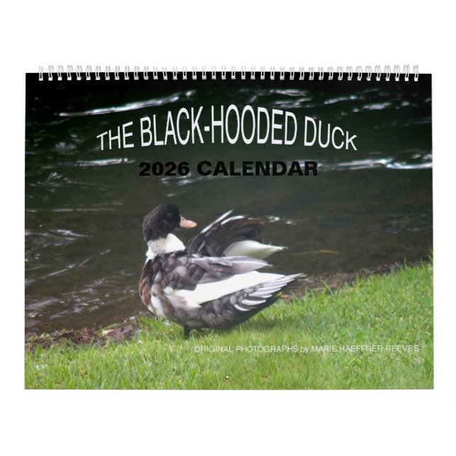CALENDRIER THE BLACK-HOODED DUCK 2026 CALENDAR (Protection)