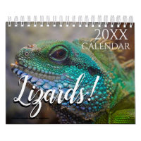 Calendrier Thématique Lézard 2027 Cadeau