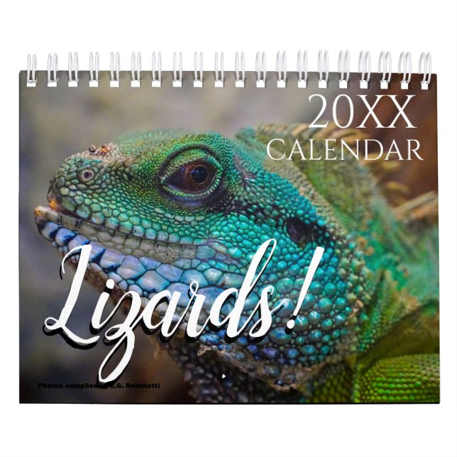 Calendrier Thématique Lézard 2027 de Nature  (Protection)