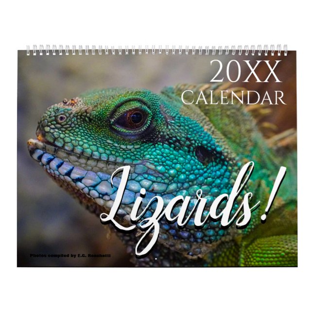 Calendrier Thématique Lézards 2027 Cadeau (Protection)
