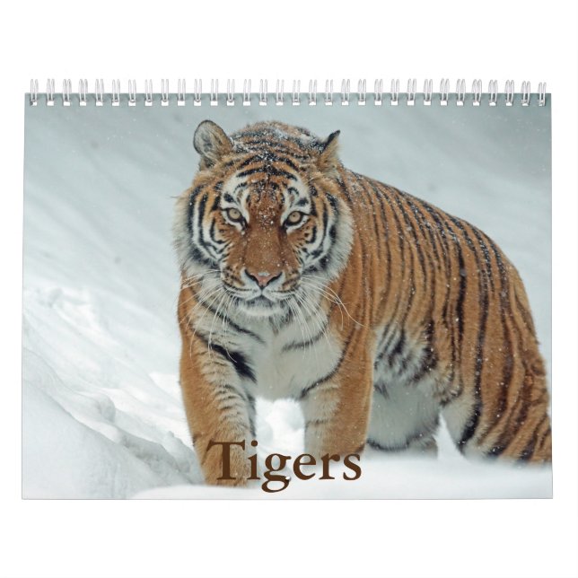 Calendrier Tiger (Protection)