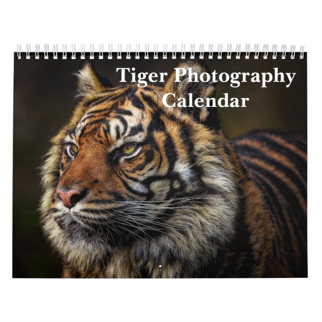Calendrier Tiger Photographie Animal sauvage 2025 (Protection)
