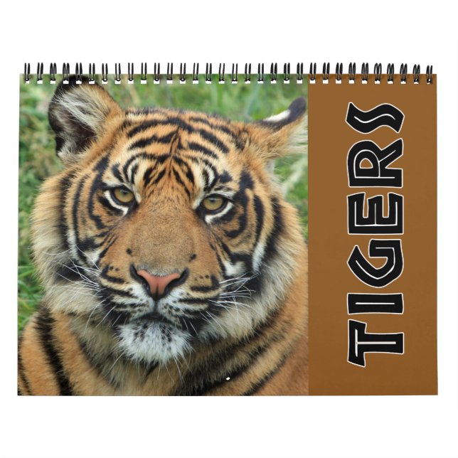 Calendrier Tigre Sauvage Actuel (Protection)