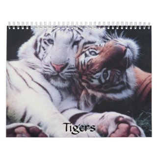 Calendrier Tigres