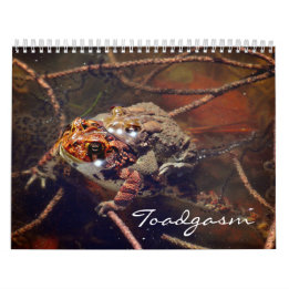 Calendrier Toadgasm