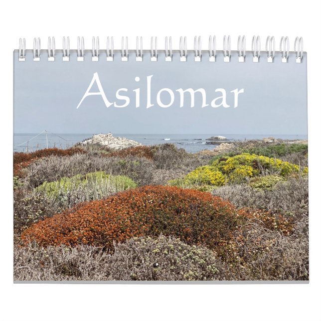 Calendrier Toile de Californie : Asilomar (Protection)