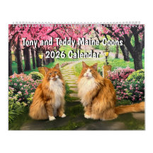 Calendrier Tony et Teddy Maine Coons 2026