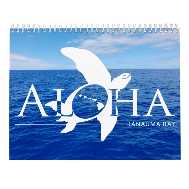 Calendrier Tortues 2019 d'Hawaï (Dos)