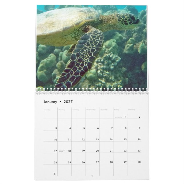Calendrier Tortues d'Hawaï (Jan 2027)