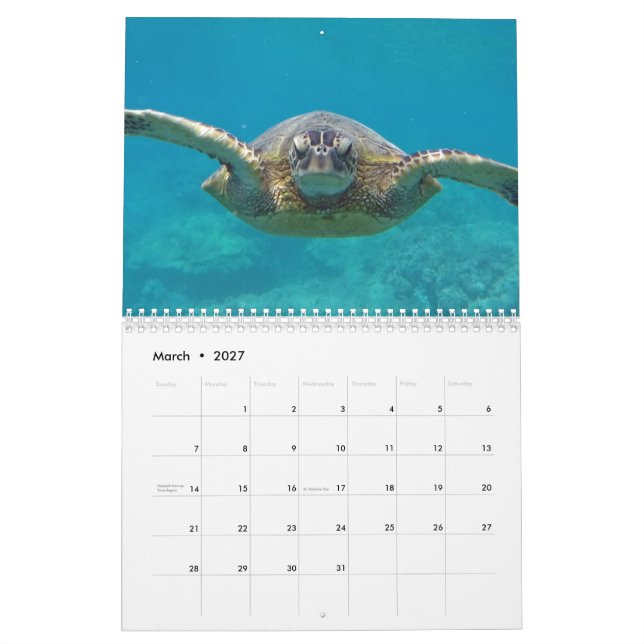 Calendrier Tortues hawaïennes (Mar 2027)