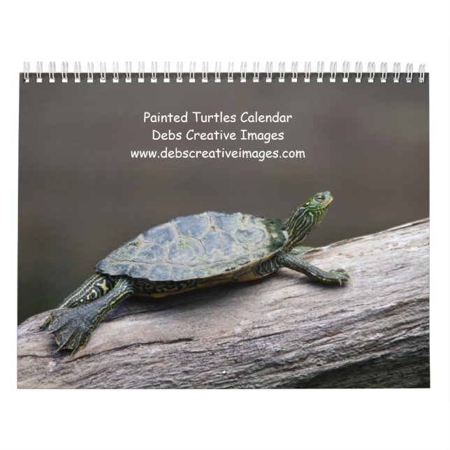 Calendrier Tortues peintes des Adirondacks 2027 | Faune (Protection)
