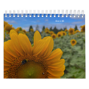 Calendrier Tournesol