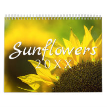 Calendrier Tournesol - Collection de 12 photograph