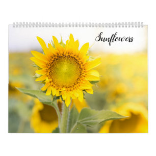 Calendrier Tournesols