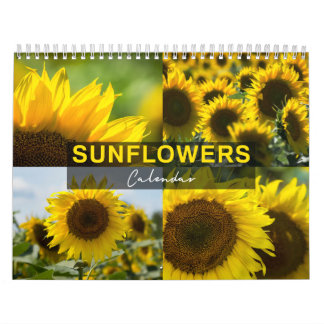 Calendrier Tournesols - Collection de Photos