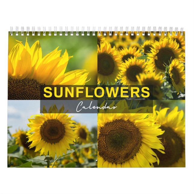 Calendrier Tournesols - Collection de Photos (Protection)