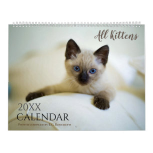 Calendrier Tous les chatons adorables animaux 2027 