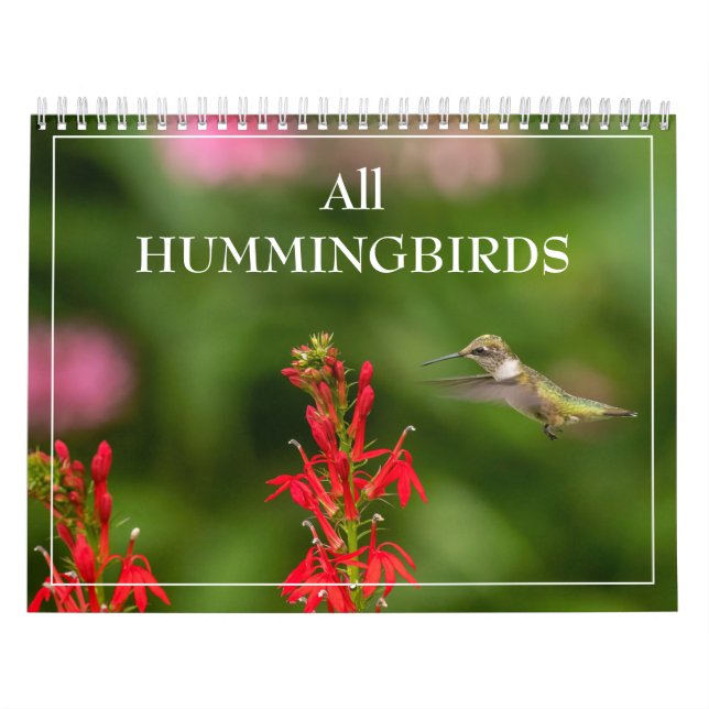 Calendrier Tous les oiseaux de mer (Protection)