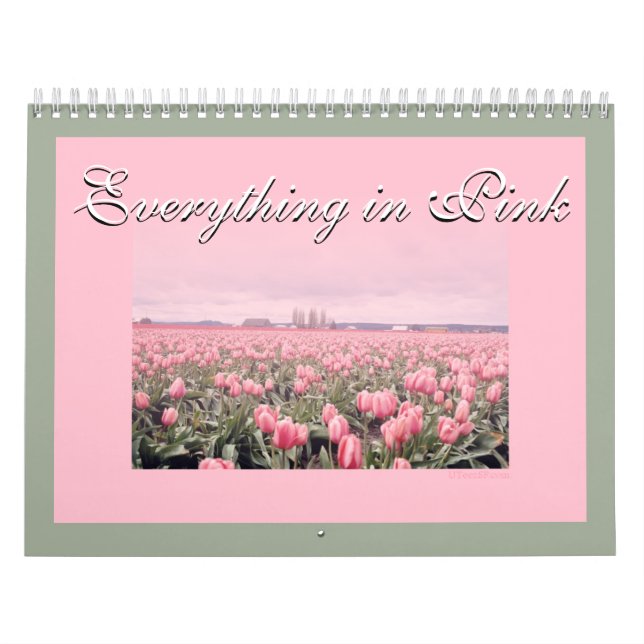 Calendrier Tout est en rose 2018 (Protection)