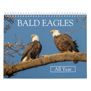 CALENDRIER TOUTE L'ANNÉE