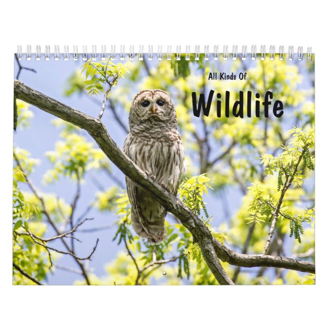 Calendrier Toutes Sortes De Faune (Protection)