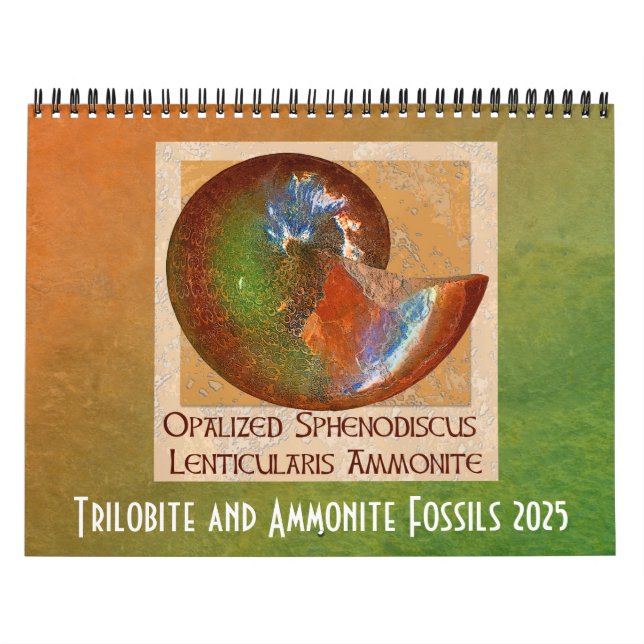 Calendrier Trilobite et Ammonite Fossil 2025 (Protection)