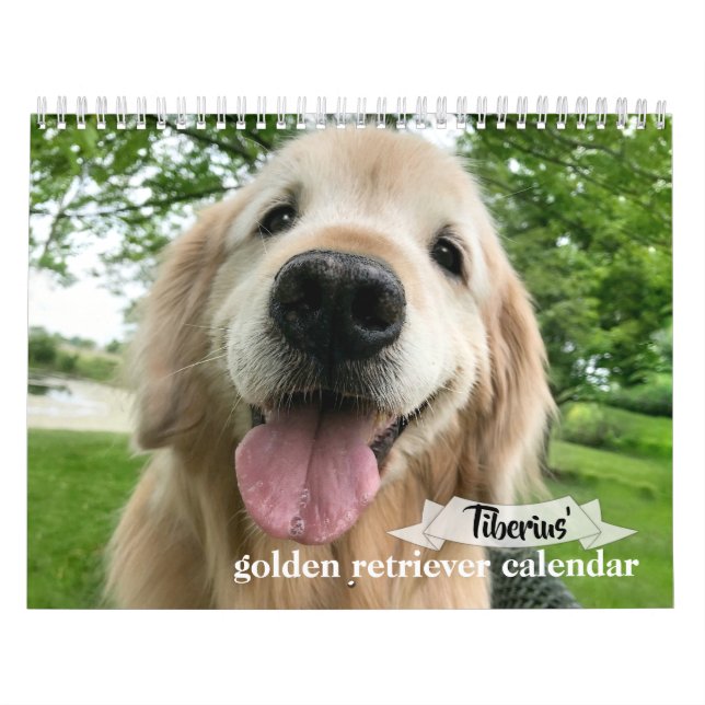 Calendrier Triple d'or de Tiberius 2020 (Protection)