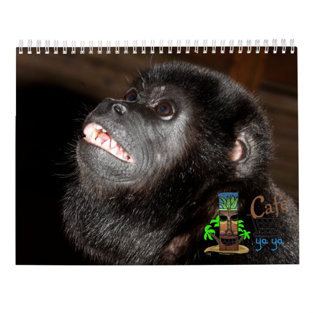 Calendrier tropical des arts de l'île (Dos)