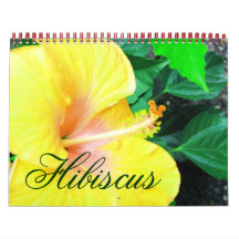Calendrier Tropical Hibiscus Flowers
