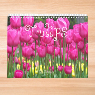 Calendrier Tulipes colorées Floral Photographie