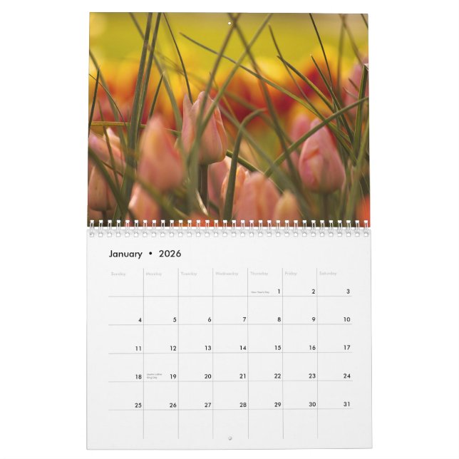 CALENDRIER TULIPES DE VALLÉE DE SKAGIT (Jan 2026)