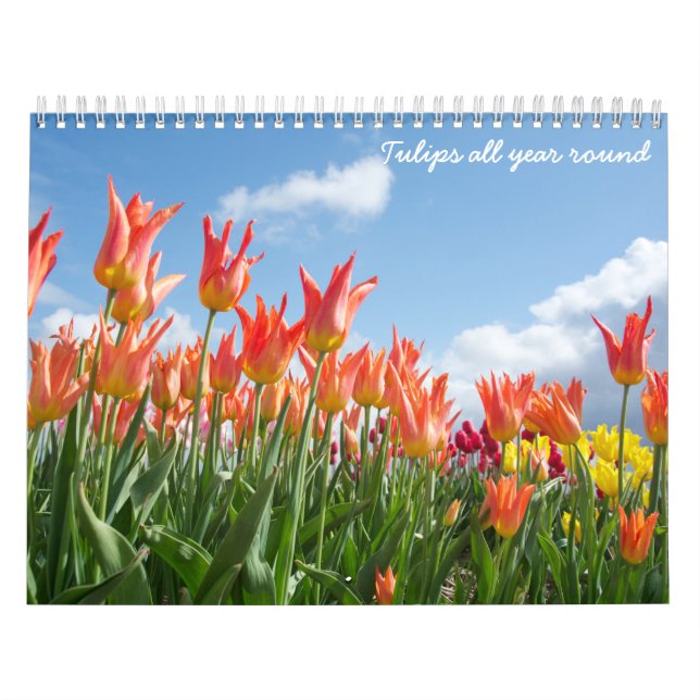 Calendrier Tulipes toute l'année (Protection)