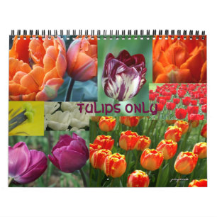 Calendrier tulipes uniquement
