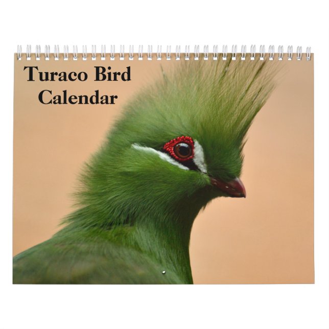 Calendrier Turaco Bird 2025 (Protection)