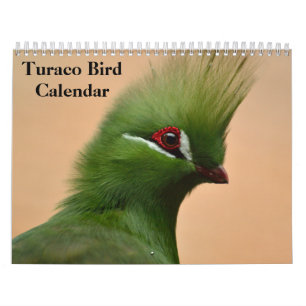 Calendrier Turaco Bird 2025