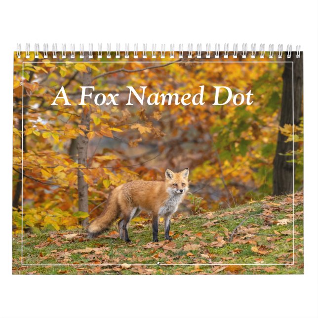 Calendrier Un Renard Nommé Dot. (Protection)