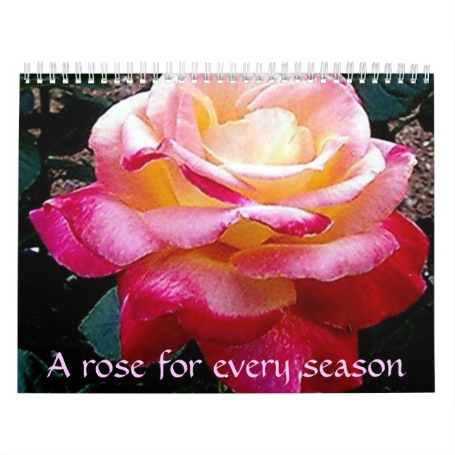 Calendrier Un rose pour chaque saison (Protection)