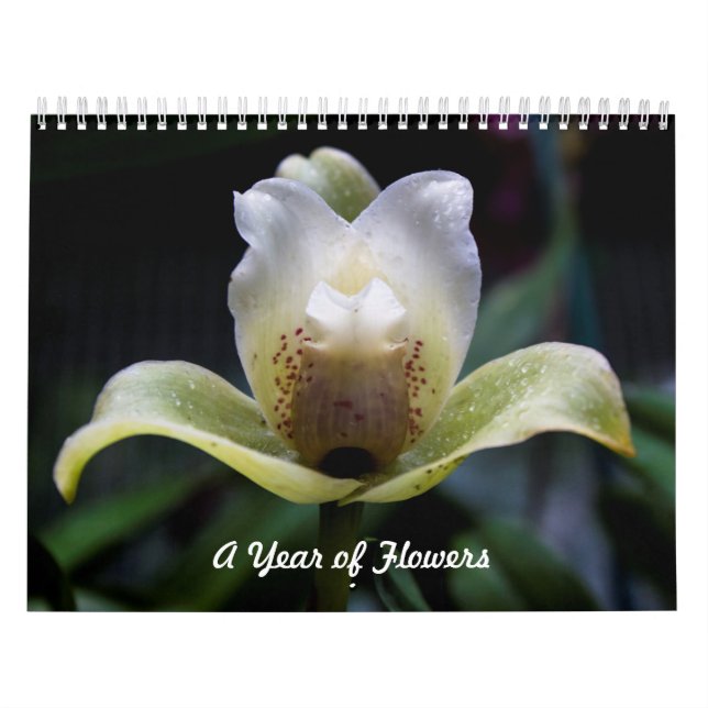 Calendrier Une année de Calender (Protection)