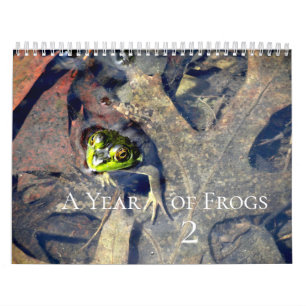 Calendrier Une année de grenouilles 2