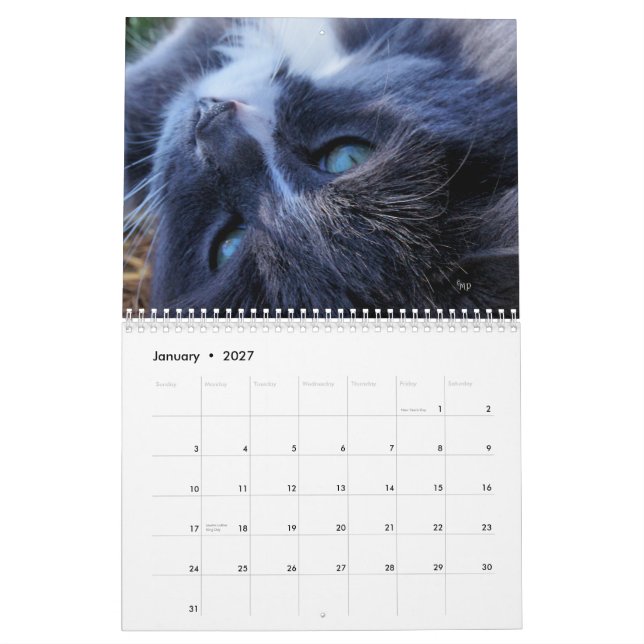 Calendrier Une année des chats - personnaliser à n'importe (Jan 2027)