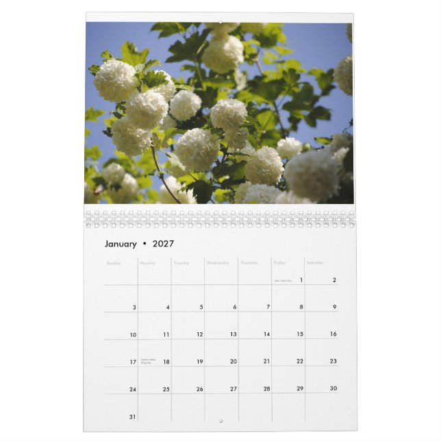 Calendrier une année des fleurs (Jan 2027)