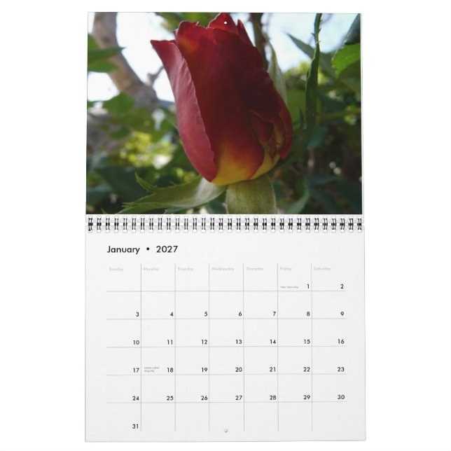 Calendrier Une année des fleurs (Jan 2027)