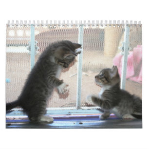 Calendrier Une année des fuzzybutts