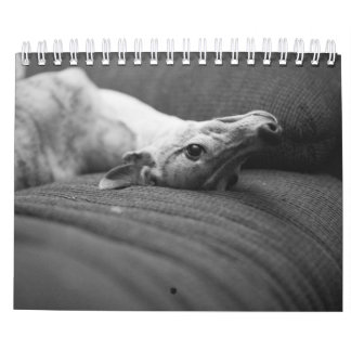 Calendrier Une année pendant la vie d'Enzo