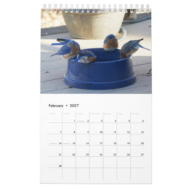 Calendrier Une année pleine de bleuets (Feb 2027)