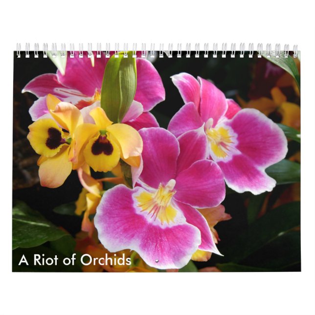 Calendrier Une émeute des orchidées (Protection)