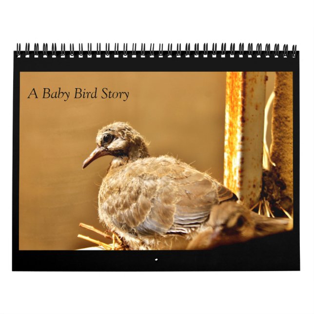 Calendrier Une histoire d'oiseaux nichons (Protection)