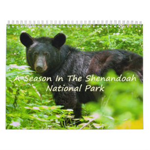 Calendrier Une Saison À Shenandoah Nat. Version du vautour du