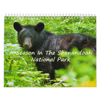 Calendrier Une Saison À Shenandoah Nat. Version Vautour du pa