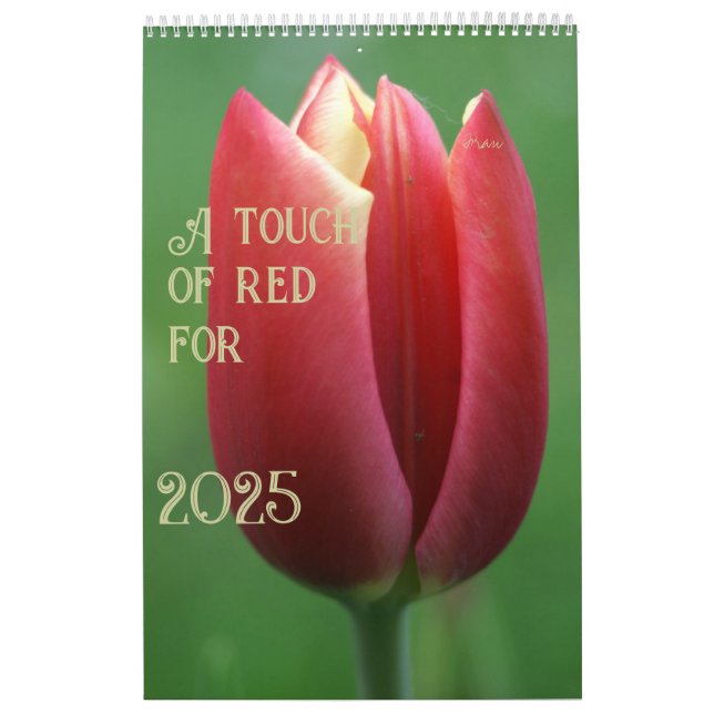 Calendrier une touche de rouge pour 2025 (Protection)